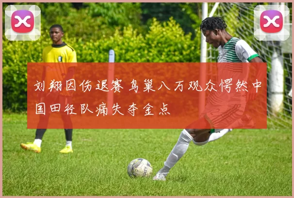 刘翔因伤退赛鸟巢八万观众愕然中国田径队痛失夺金点