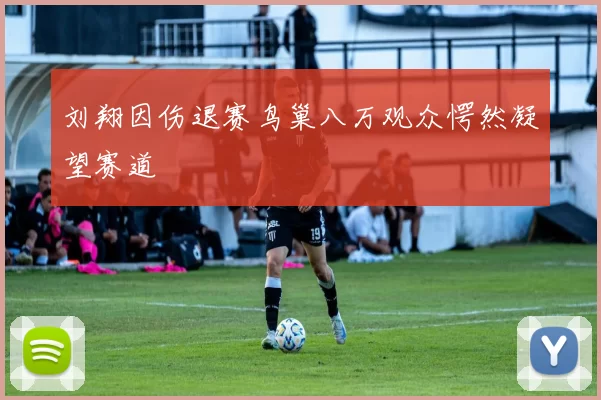 刘翔因伤退赛鸟巢八万观众愕然凝望赛道