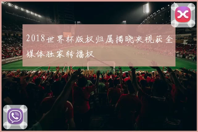 2018世界杯版权归属揭晓央视获全媒体独家转播权