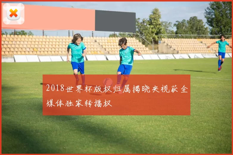 2018世界杯版权归属揭晓央视获全媒体独家转播权