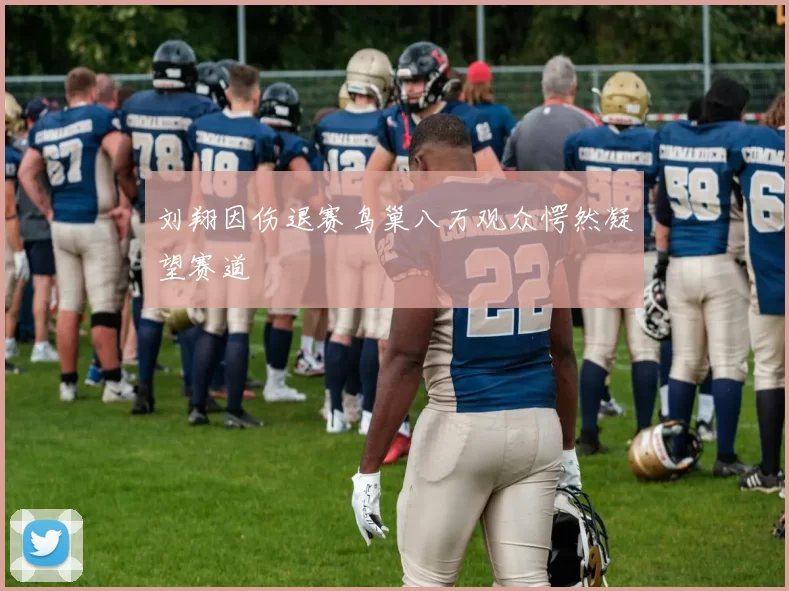 刘翔因伤退赛鸟巢八万观众愕然凝望赛道